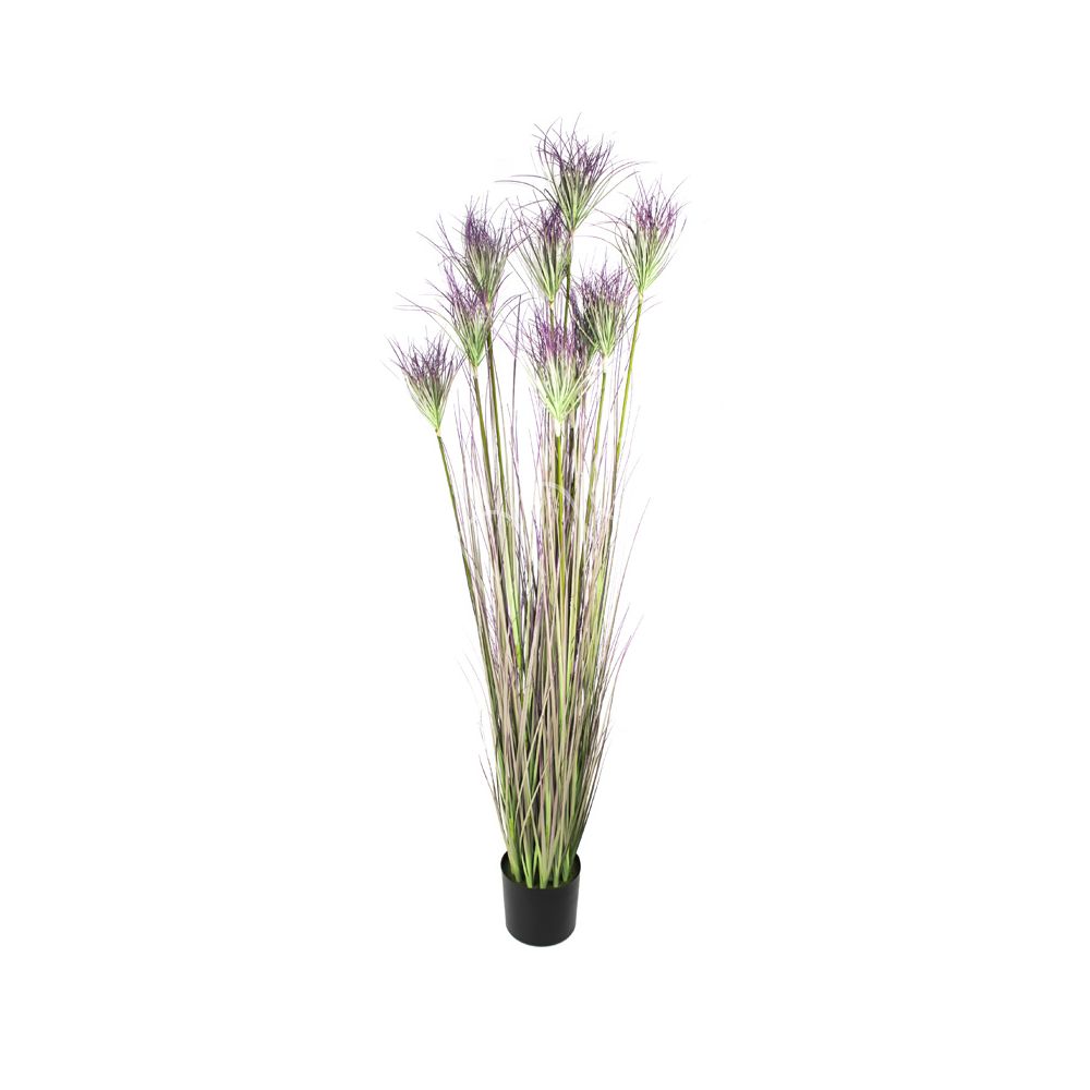 Dekogras violett mit Kunststofftopf | 180cm Colmore