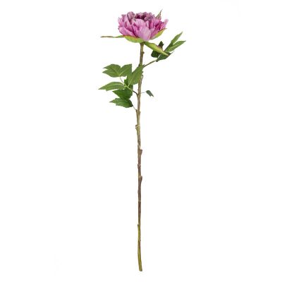 Blüte Pfingstrose rosa 65cm