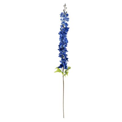 Blüte großer Rittersporn blau 120cm