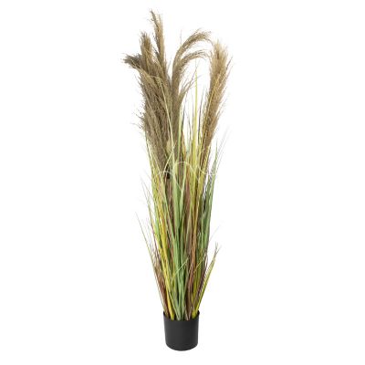 Dekoratives getrocknetes Pampas-Naturgras mit Kunststofftopf 180 cm