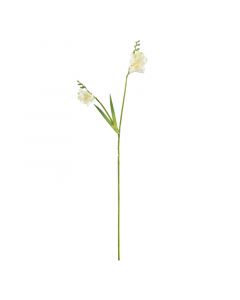Blüte Narzisse weiß 77 cm
