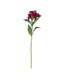 Blütenlilie rot 61cm