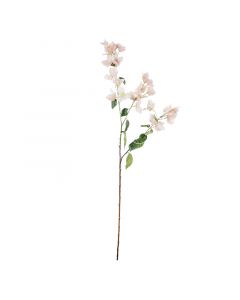 Blüte Bougainvillaea rosa 105cm