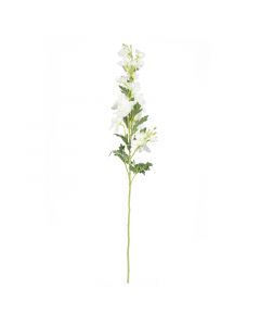 Blüte Rittersporn weiß 82cm