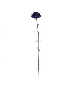 Blume Nelke tiefviolett 60cm