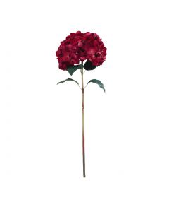 Blüte groß Hortensie rot 83cm