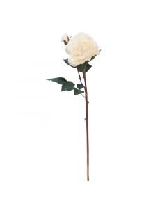 Blüte Rose Pfirsich 53cm