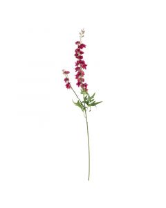 Blume Delphinidin rot 85cm