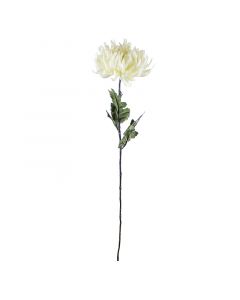 Blüte Krysantheme weiß 60cm