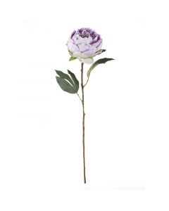 Blüte Pfingstrose violett 67cm