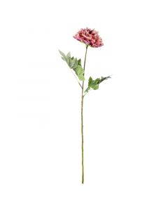 Blüte Pfingstrose rosa 79cm