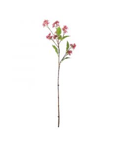 Blume Herba Eupatorium rot 62cm