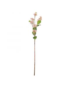 Blume Kräuter Eupatorium rosa 62cm