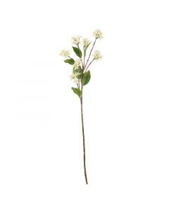 Blüte herba eupatorium weiß 62cm