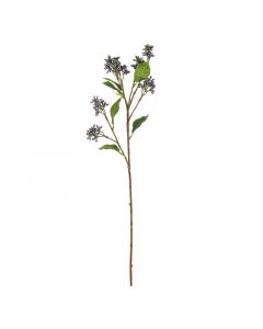 Blume herba eupatorium blau 62cm