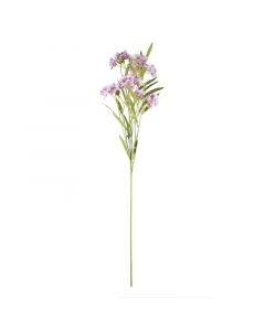 Blume Dianthus chinensis lila 72cm
