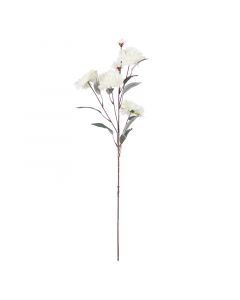 Blumennelke weiß 79cm