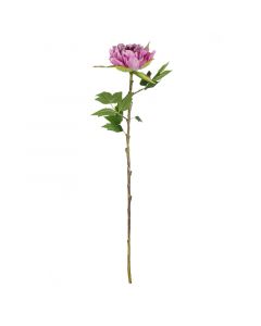 Blüte Pfingstrose rosa 65cm